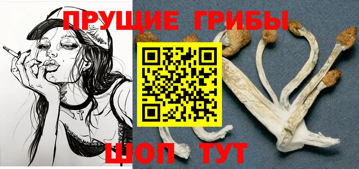 Галлюциногенные грибы Psilocybine cubensis Южноуральск