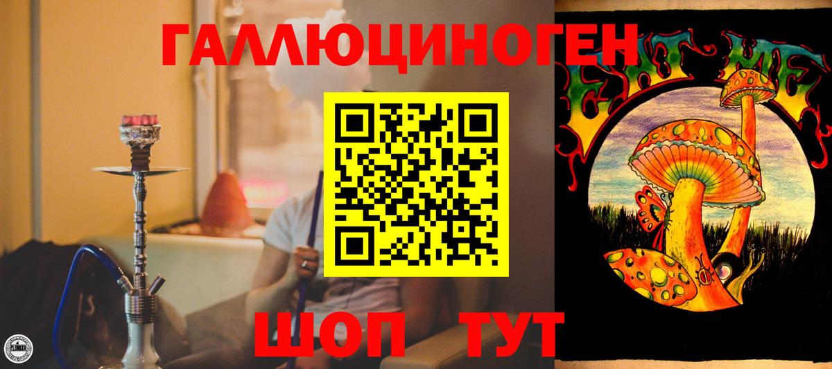 Южноуральск  Псилоцибиновые грибы Psilocybine cubensis  хочу наркоту  Вход с VPN 